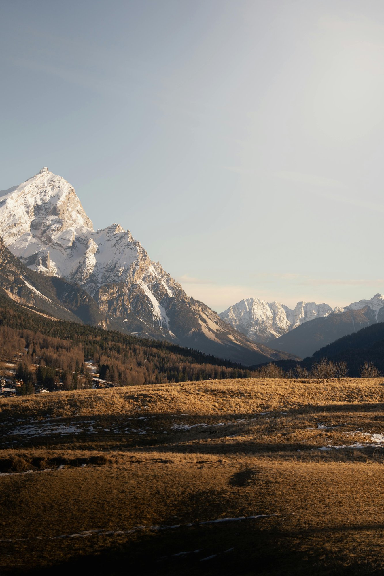 pexels-photo-35917021